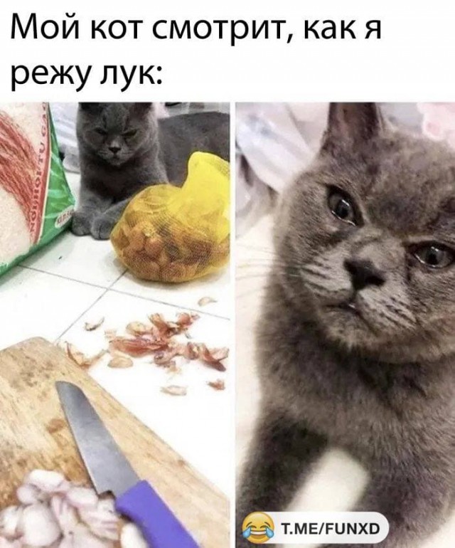 Картинки и мемы для настроения