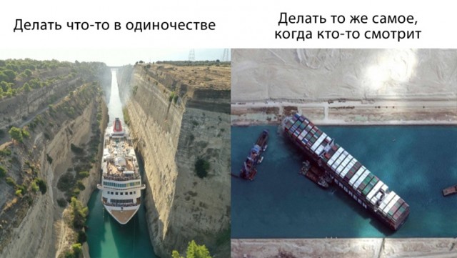 Весёлый полтишок 31.03