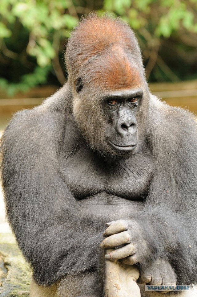 Маркетолог теперь ищет новую работу