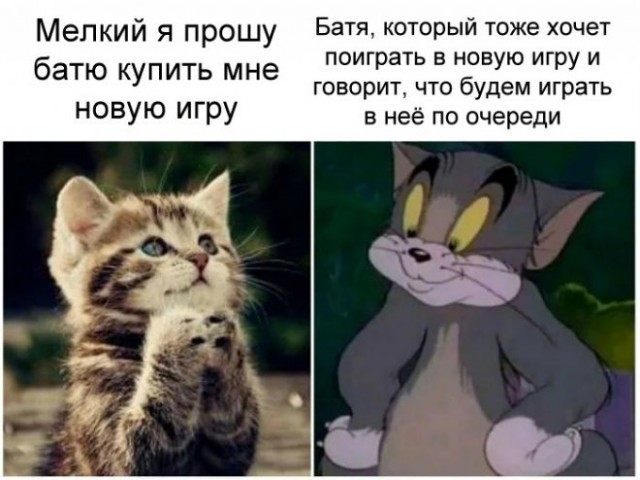 Картинки и мемы для настроения 24.08.2021