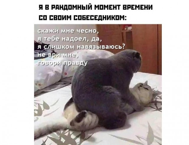Картинки и мемы, всем прекрасных выходных