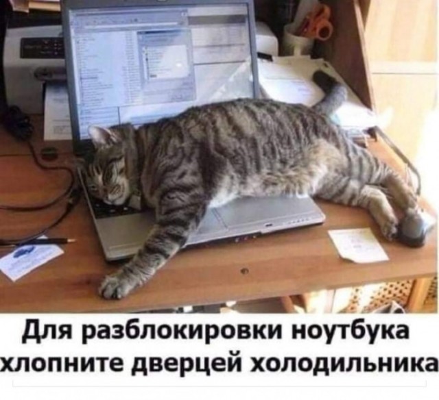 Баянисто-небаянистый юмор 9.11.21