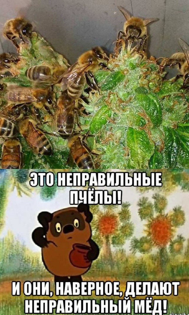 Ловите момент