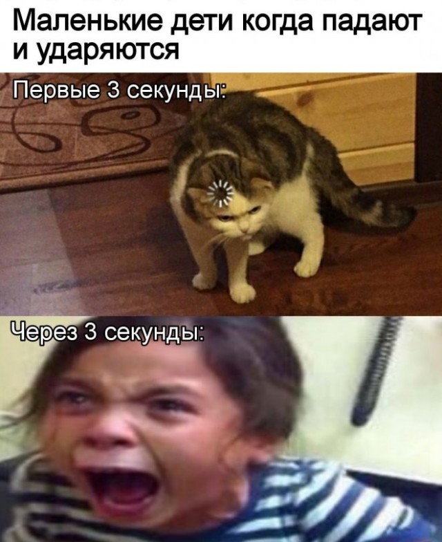 Весёлый полтишок 08.06.2022