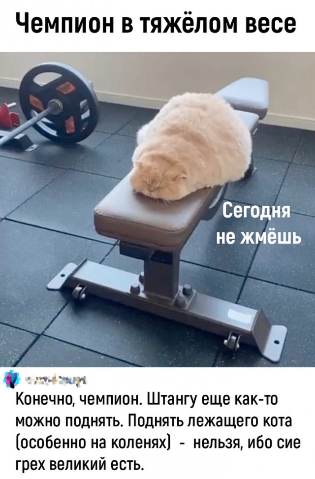 Так себе картинки 26.07.22