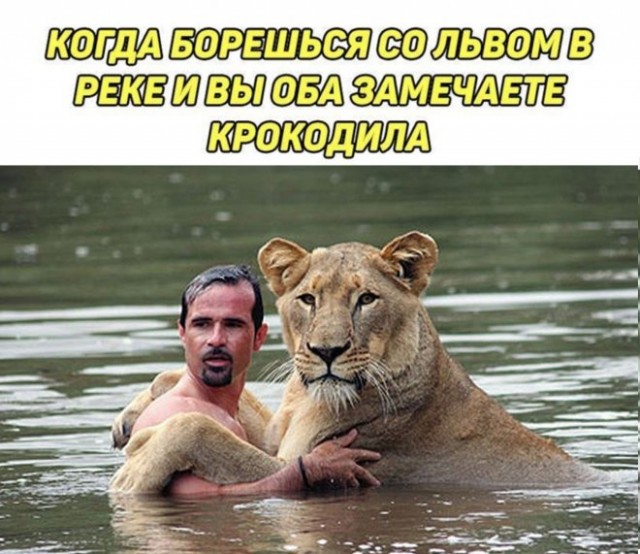 Так себе картинки 19.09.22