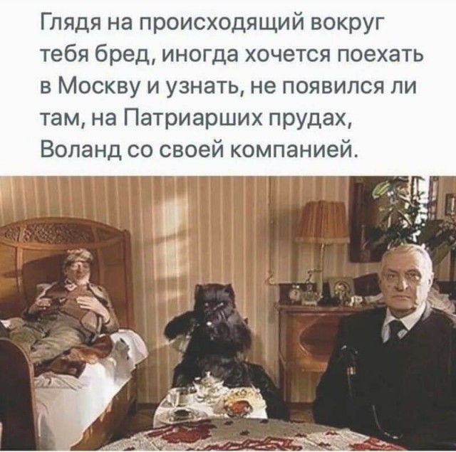 Так себе картинки 03.11.22