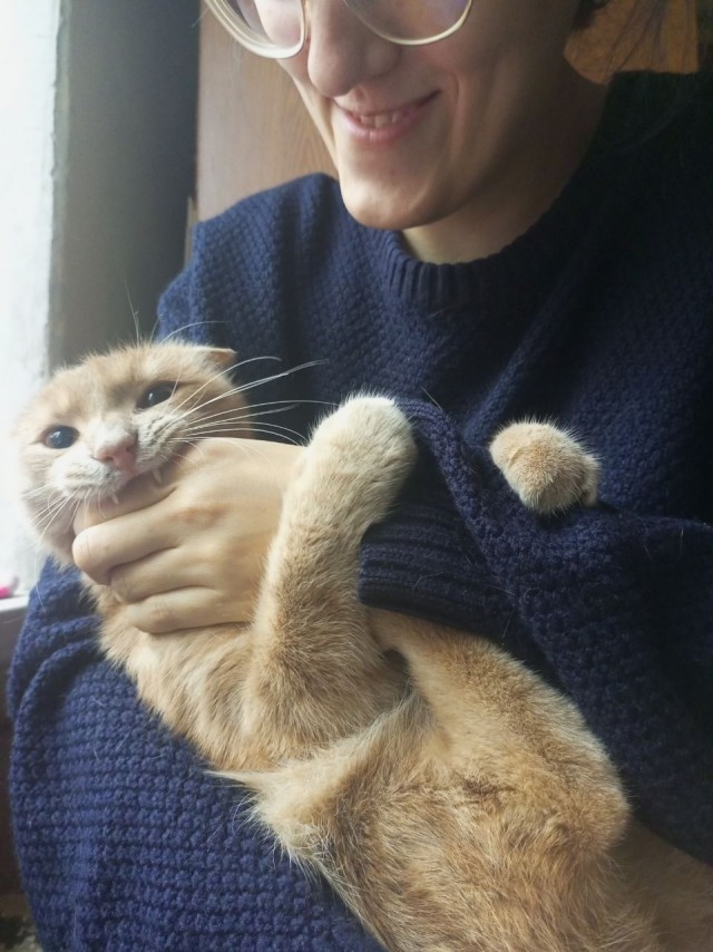 Доброе утро, ЯП