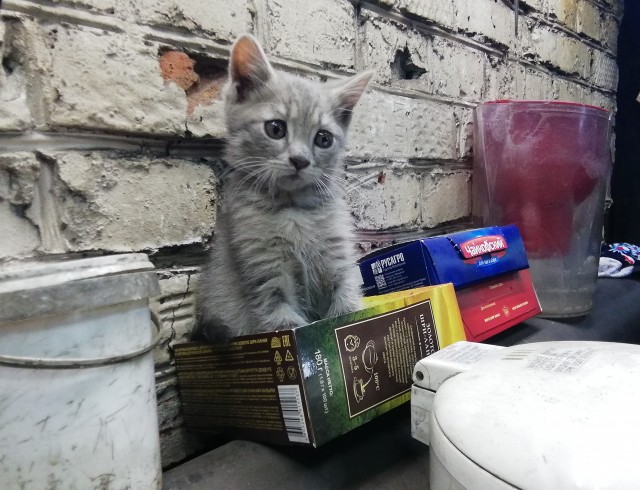 Новый ученик токаря