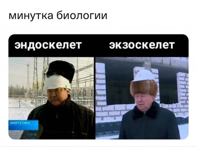 Народная меДИЧина 7016