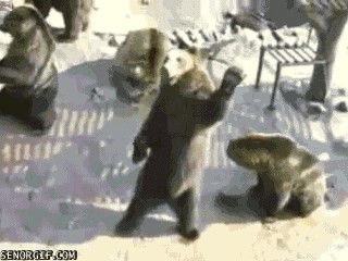 Новая жертва