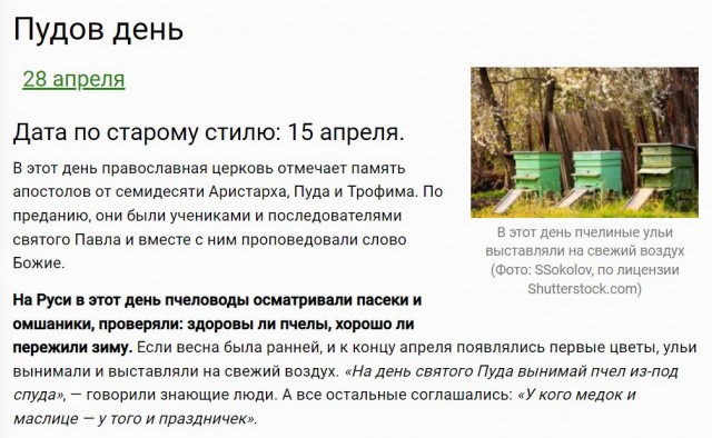 Победная поступь идиотизма по планете – том 13