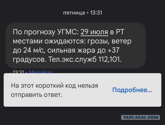 8 человек погибли в результате урагана в Марий Эл. Еще 10 были доставлены в больницы