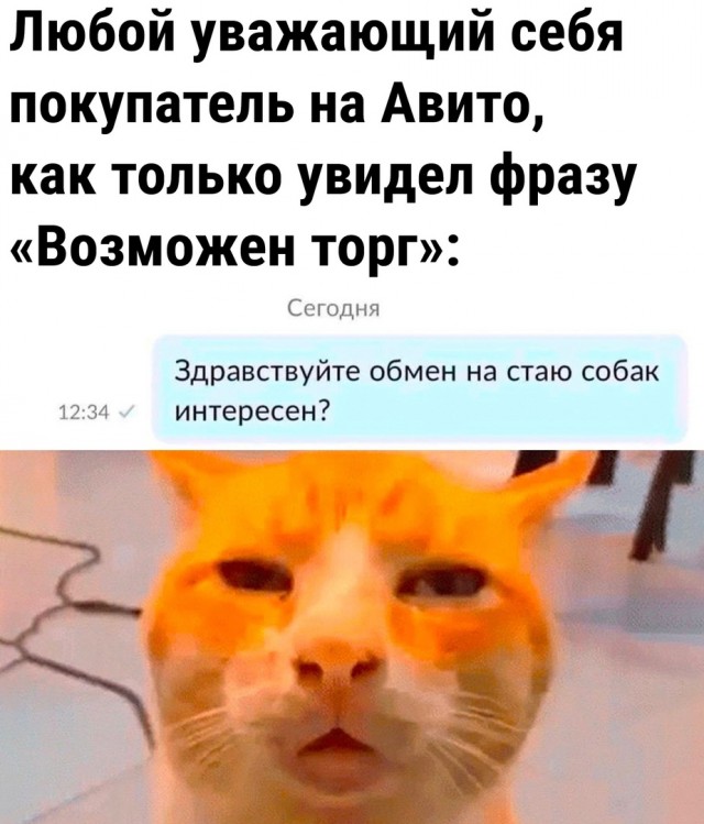 Так себе картинки 11.09.23