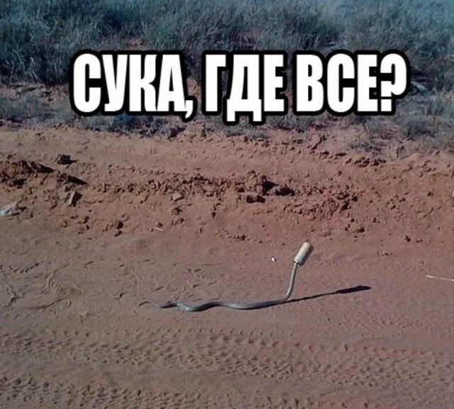 А куда пропал Ubix?