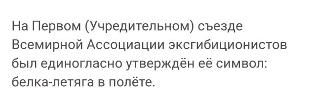 Я уже не летяга, я грузовой самолёт