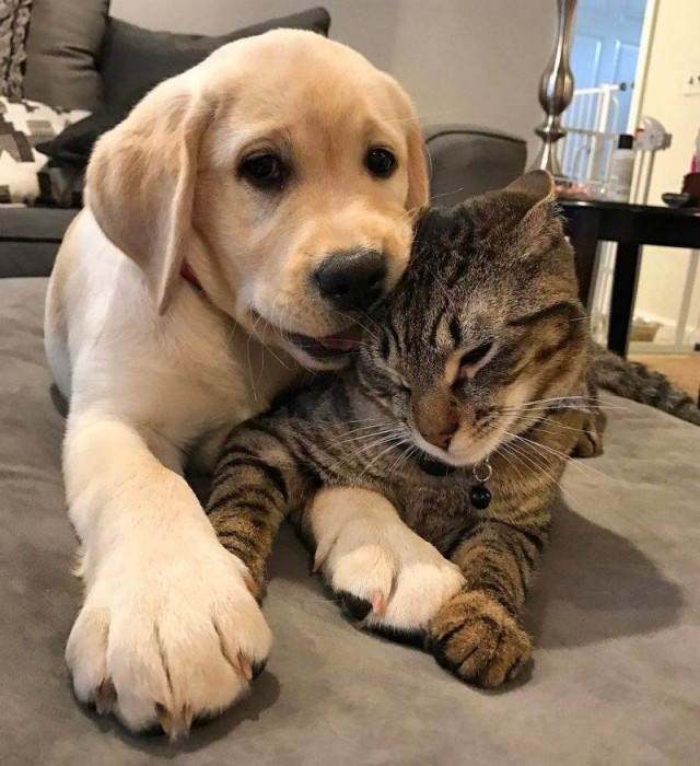 Праздник так-то