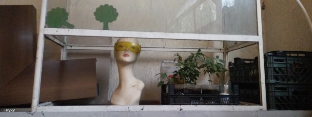 Хабанерики