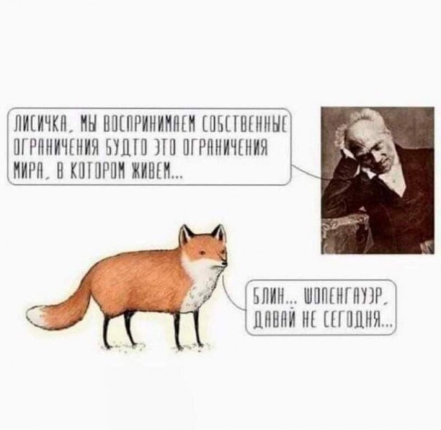 Нуштош 29.12.2023
