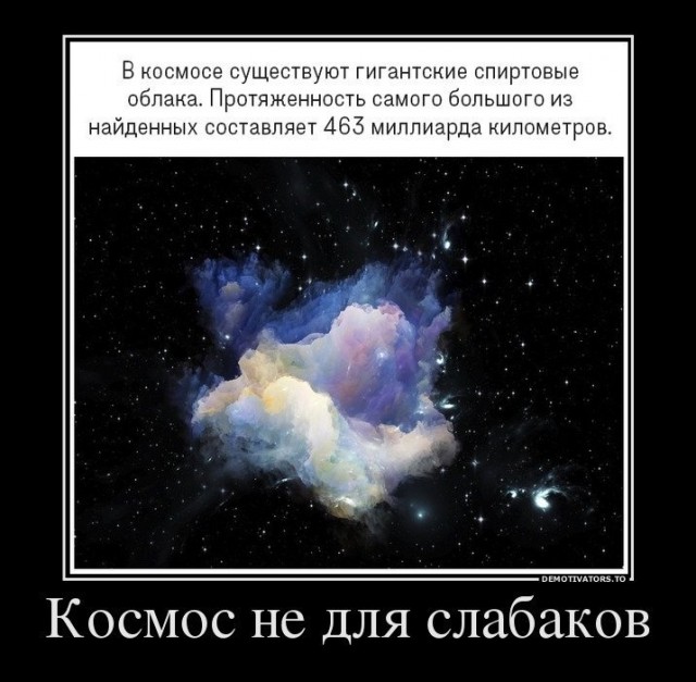 Илон Маск сделал прогноз о конце человечества