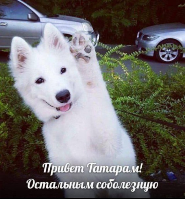 "Как я пыталась снять квартиру в Подмосковье"