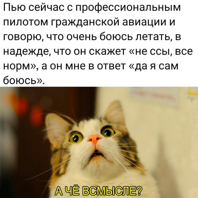 Весёлый полтишок 27.08.24