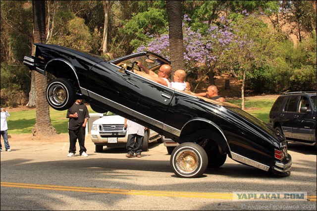 И снова "опущенные" красаУчики,