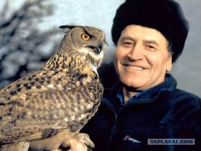 Такая вот птица прилетела