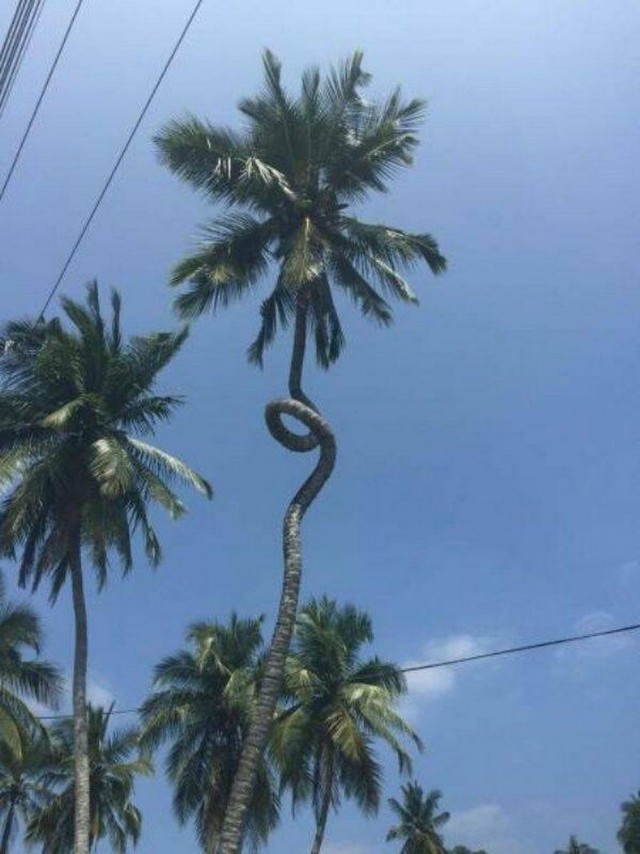 ФотоВинегрет