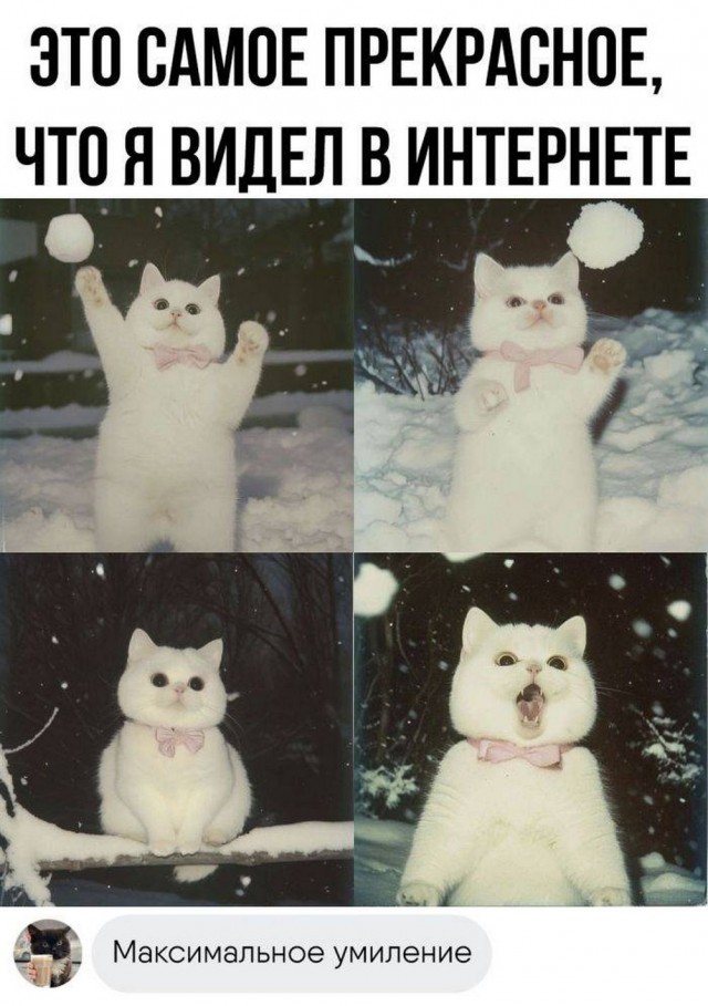 Картинки разные с надписями и без