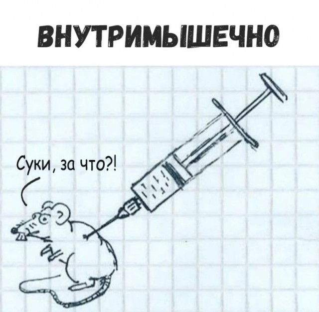 Деградильня