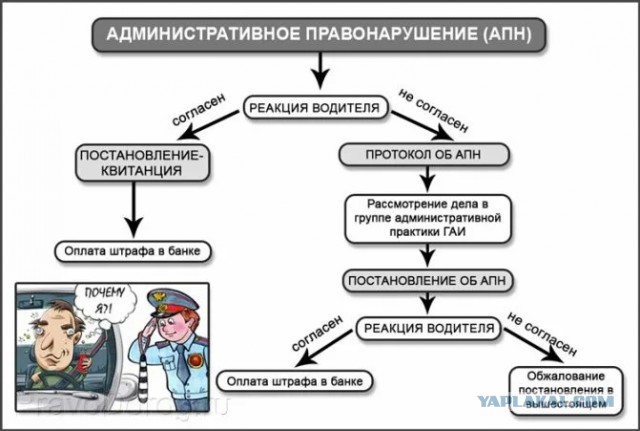 Будьте внимательны с ГИБДД