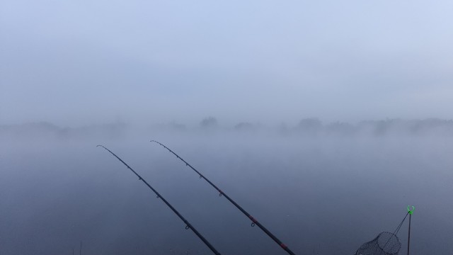 Гляньте красотищу