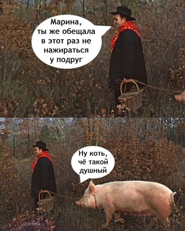 Так себе картинки 22.07.25