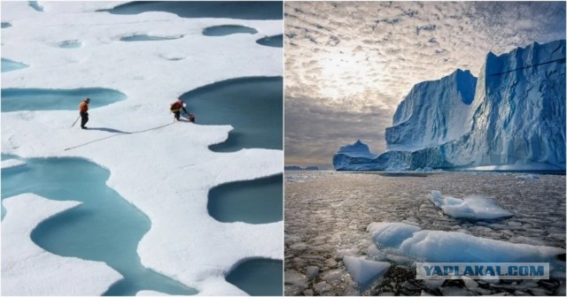 Глобальное потепление на тормозах: Арктика не тает так быстро, как ждали