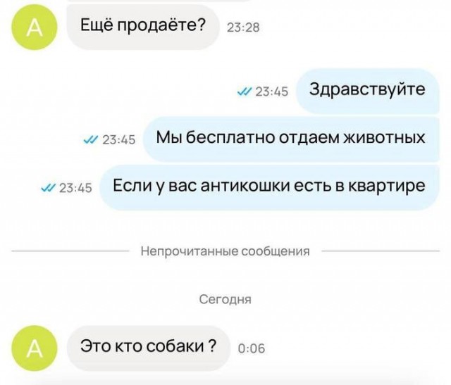 Картинки для деградации 84 (разной степени свежести)