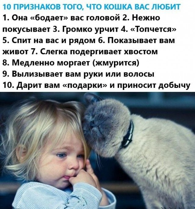 Прикольные и просто красивые картинки 18.11.2025