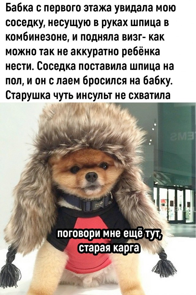 Так себе картинки 06.12.25