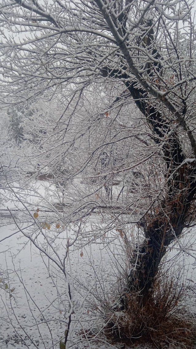 Наконец то!