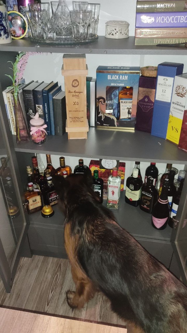Алкозапасы на Новый Год