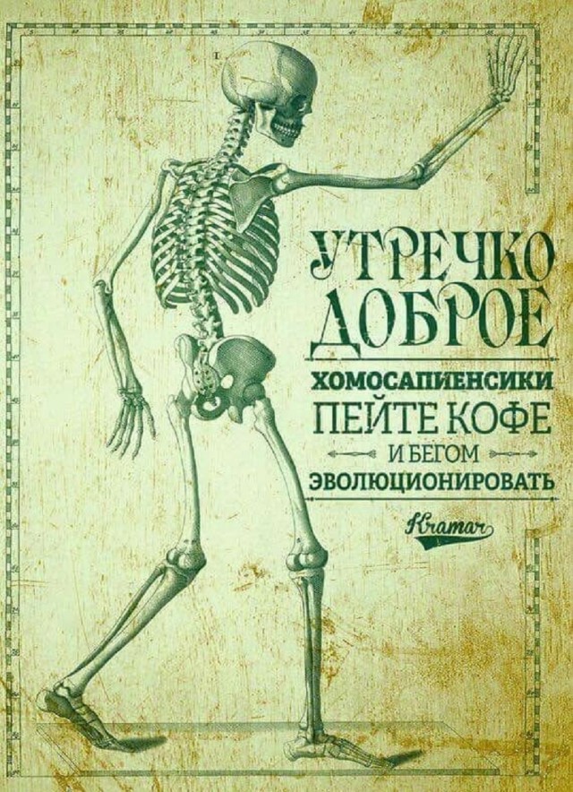 Так себе картинки 02.01.26
