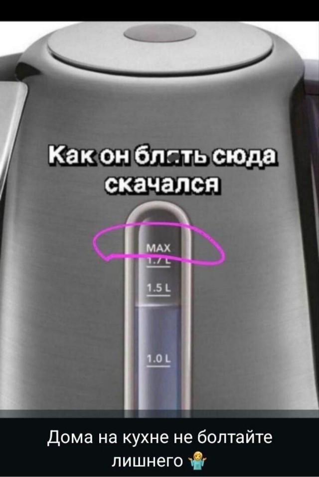 Веселых картинок вам в ленту