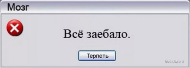 Веселые картинки в понедельник (12.01)