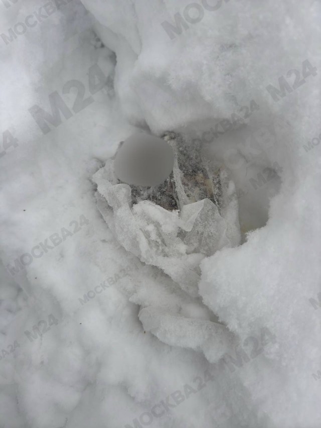 Около ЖК «Столичные поляны» жители нашли останки собаки, расфасованные по пакетам