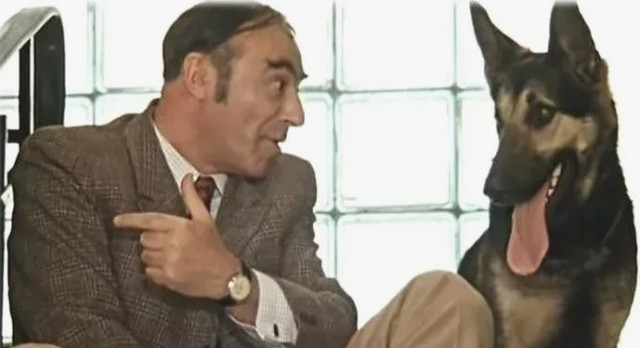 На Каширское шоссе в Подмосковье трое злоумышленников ходили вдоль припаркованных машин и высматривали что-нибудь ценное