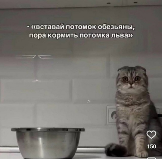 Картиночки, баянчики 12 марта