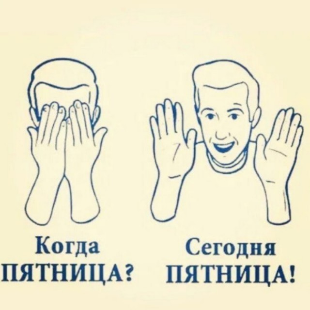 Жизнь домашнего приюта для котеек 575
