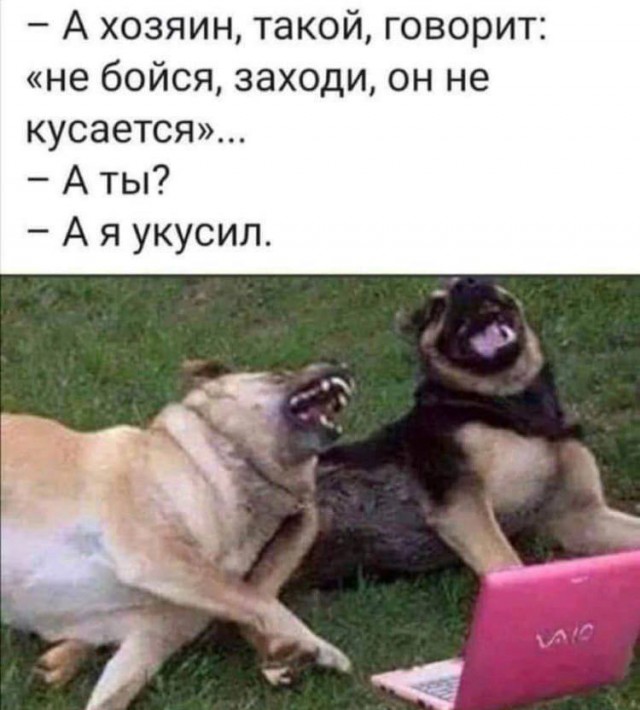Картинки для деградации 169 (разной степени свежести)