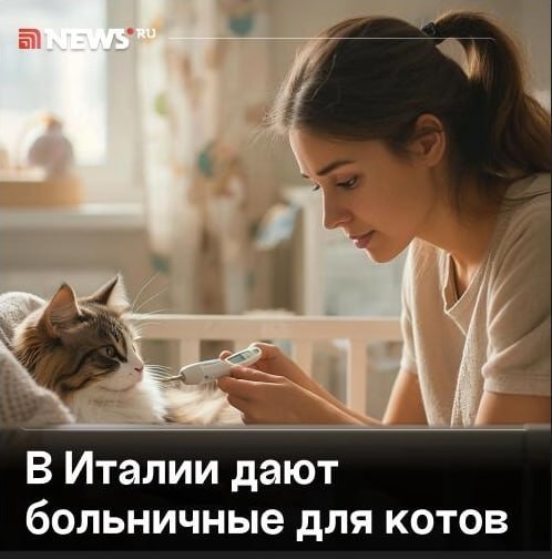 Отпуск по уходу за питомцем разрешили брать в Италии