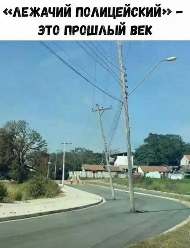 Веселые картинки в пятницу (10.07)